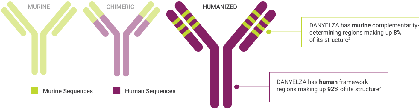 DANYELZA humanized antibody graphic